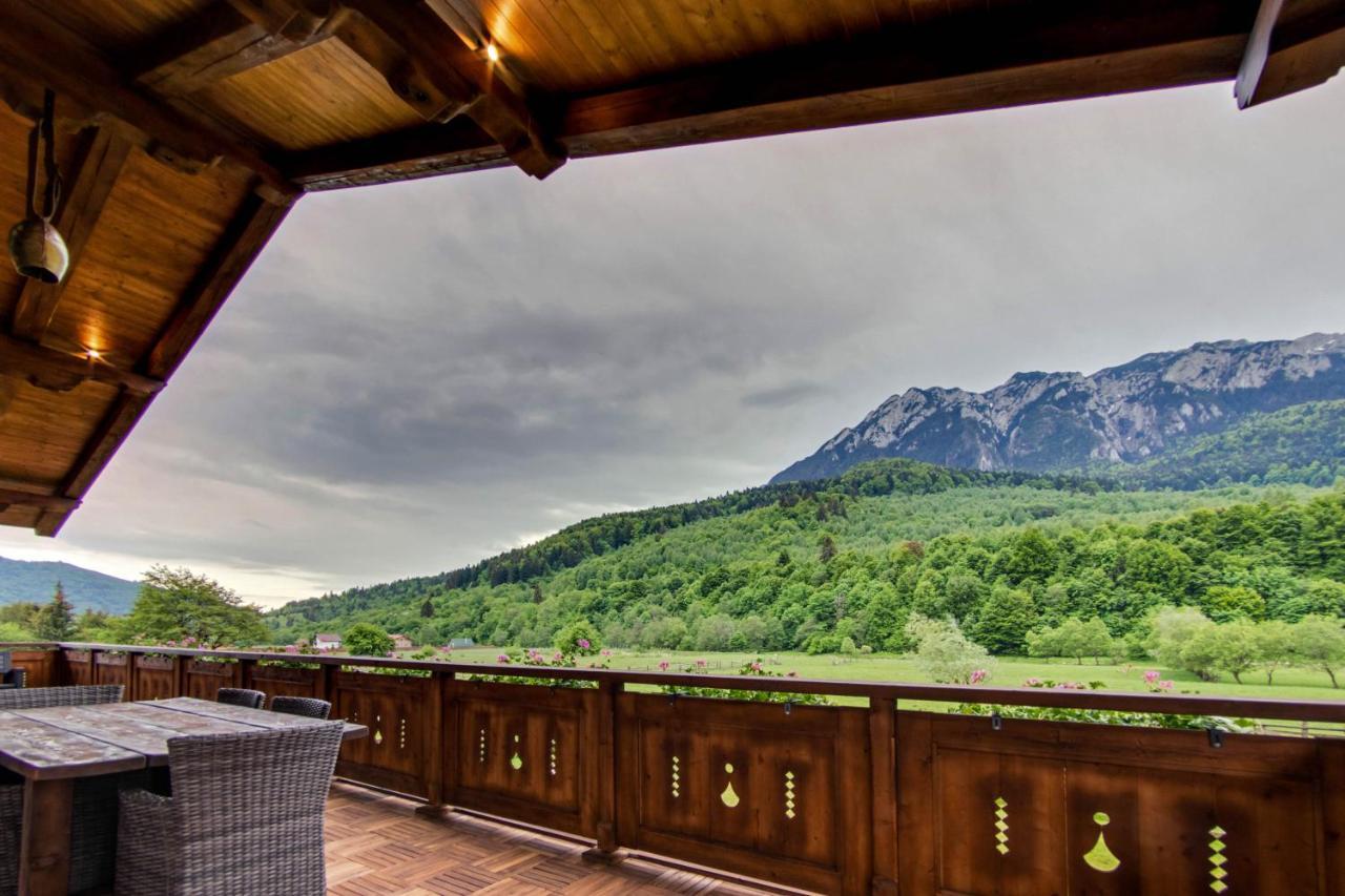 Avalanche Plaiul Foii Vila Zărneşti Exterior foto